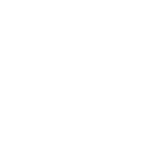 delzaar_academi_logo